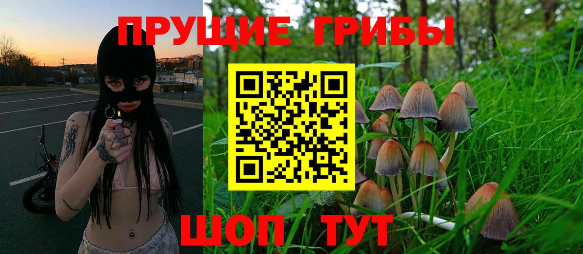 Мефедрон  MDMA  ГАШИШ  Кумертау  МЕТ  Лсд 25  Каннабис  Вход с VPN  КОКАИН  Меф МЯУ МЯУ   НБОМе 