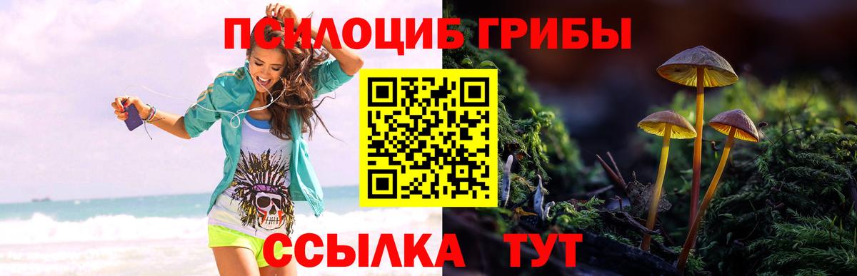 Псилоцибиновые грибы ЛСД  Вход с VPN  Кумертау 